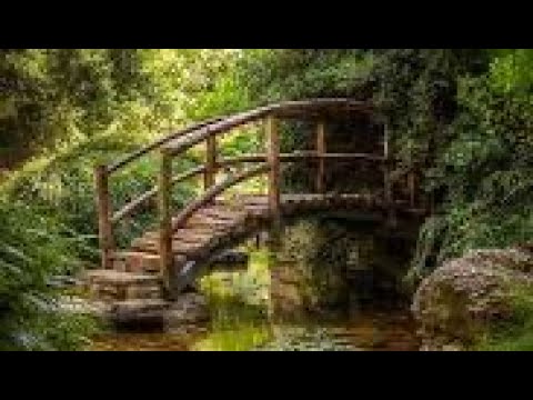 Promotional video thumbnail 4 for Michael Camp: The Classical Spanish Guitarist