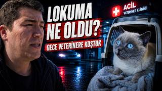 Lokum'u Acil Veterinere Götürdük - ERCİYES VETERİNER KLİNİĞİ