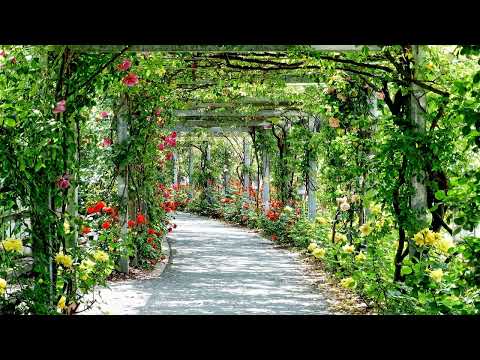 Erdi Irmak - Passage (Original Mix) (Tale & Tone)