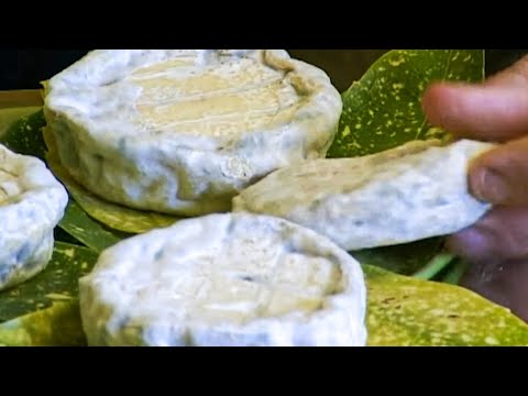 Le Saint-Marcellin, le fromage qui vous va bien !