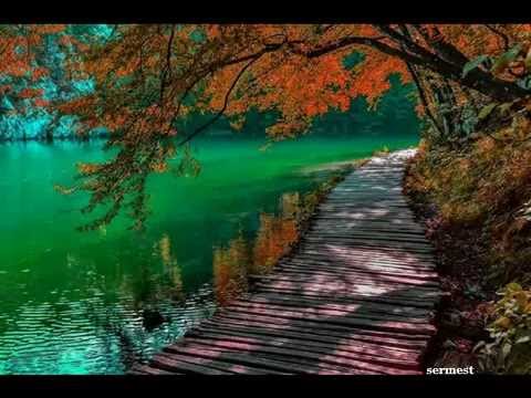 Marjan Farsad - Porteghale Man & Sermest