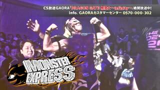 DRAGON GATE（プロレス）