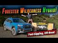 Auto Buyers Guide