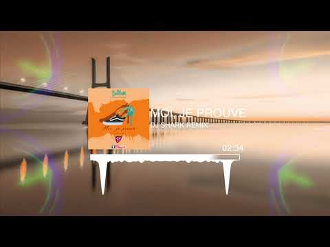 Dj Shark - Moi, je prouve. feat. Barack Adama (Gouyad Remix)
