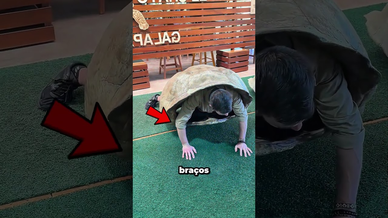 Carregar uma carapaça de tartaruga de 60 kg por 1 minuto