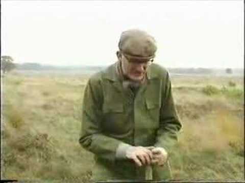 Keek op de Week 76 - 7van7 - Heideplagger