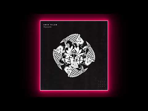 Amir Telem - Within You (Kamilo Sanclemente Remix) [Bull In A China Shop]