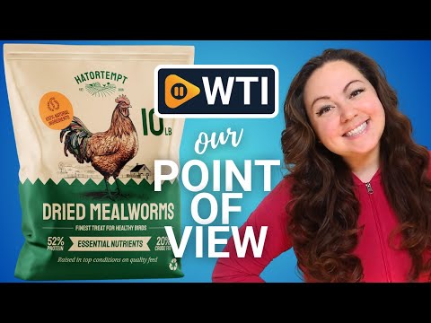 Bulk Dried Mealworms 10 lbs – Premium Organic Non-GMO Dried Mealworms for Chickens – High Protein Chicken Feed Meal Worms for Wild Birds & Chicken Treats for Laying Hens 10 Pound (Pack of 1) - WTI product video review