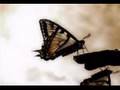 MAREA - Los mismos clavos 