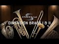 Video 1: SYNCHRON-ized Dimension Brass Introduction