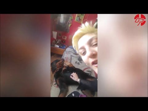 Piodermite e Malassezia Rottweiler Guarito con Alimentazione