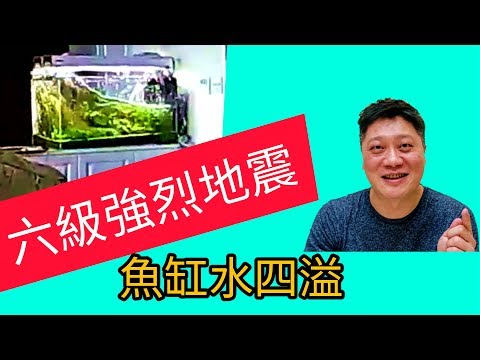 魚缸 地震