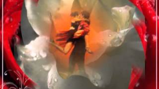 Danser Music Video