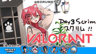 【VALORANT】今日もデビクラ杯のスクリム行くぞー【ぶいすぽ / 猫汰つな】