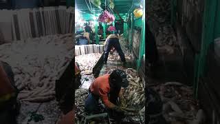 Download lagu Banjir Cumi lagi||Nasib Abk asal indonesia di kapal Taiwan #Short#Vidioshort mp3 Download lagu Banjir Cumi lagi||Nasib Abk asal indonesia di kapal Taiwan #Short#Vidioshort mp3