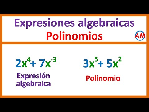 📌 What is a polynomial? 🤔 | Differences between polynomials and algebraic expressions