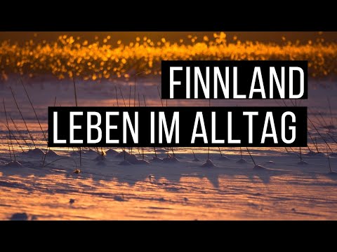 ⭐️Leben in FINNLAND | Update Februar 2020 zu “ausgewandert nach FINNLAND" Leben im Alltag