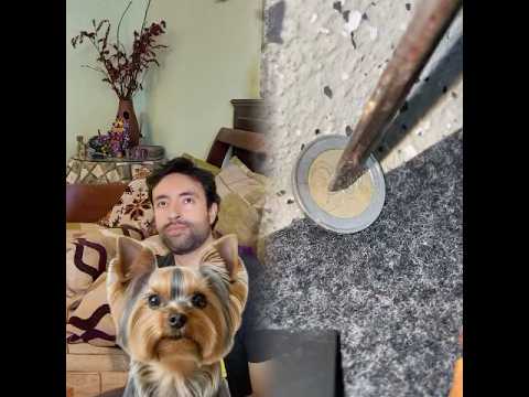 #perros #gatos #comedia #mascotas versión extendida