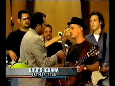 Iguana "San Juan" en Mediodia Puerto Rico, junio de 2004