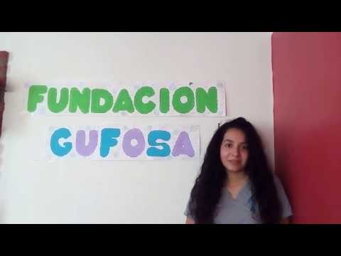 MI GRAN IDEA/ FUNDACIÓN GUFOSA