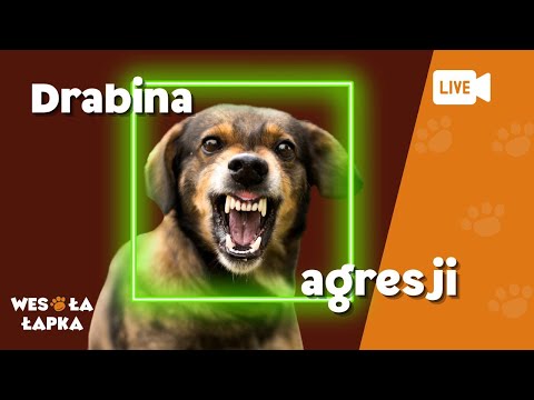 Drabina agresji