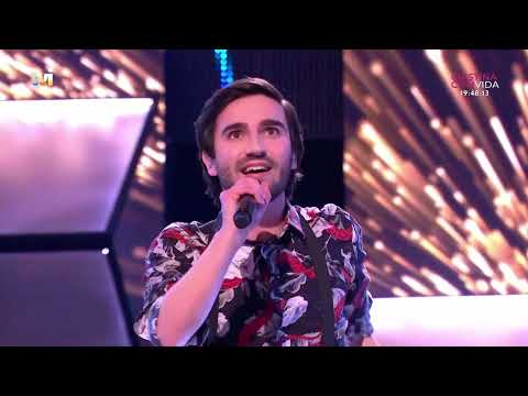 Ricardo Neiva - Who Wants To Live Forever (All Together Now)