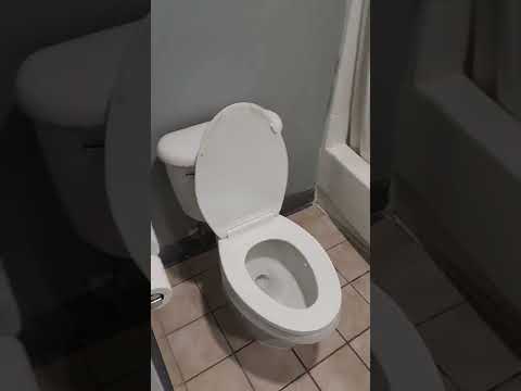 Surestay by Best Western