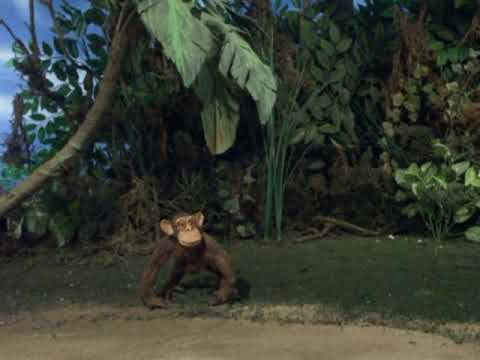 Robot Chicken - Crazy Monkeys on Land Mine Island