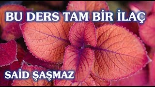 Said Şaşmaz - Bu Ders Tam Bir İlaç