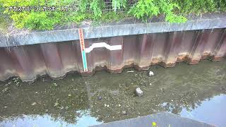 中砂橋映像監視局