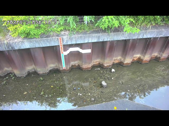 中砂橋映像監視局