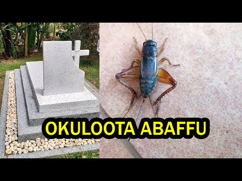 Okuloota Omuntu Eyaffa Amakulu Gakyo Kitegeeza Kinno