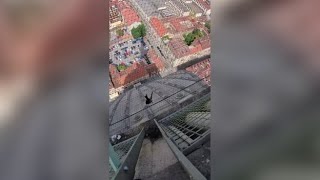 Un rondone resta impigliato nella rete della Mole Antonelliana: lo spettacolare salvataggio dei v...