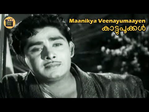 മാണിക്യവീണയുമായെന്‍ | Maanikya Veenayumaayen | Kaattupookkal1965| KJ Yesudas| G Devarajan| ONV Kurup