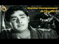 മാണിക്യവീണയുമായെന്‍ Maanikya Veenayumaayen Kaattupookkal1965 K