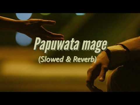 Papuwata mage (Slowed & Reverb) පපුවට මගේ