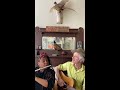 Dan + Claudia Zanes - Wild Mountain Thyme - Social Isolation Series #2