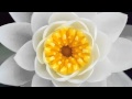 Kim Min Jong - Me (김민종 - 나를) 