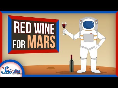 火星で暮らすための秘密。ワインとエアロジェル？| サイショウニュース (The Secrets to Living on Mars: Wine and Aerogel? | SciShow News)