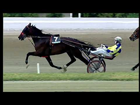 Napoli Trotto 18/04/2021 - 4ª corsa