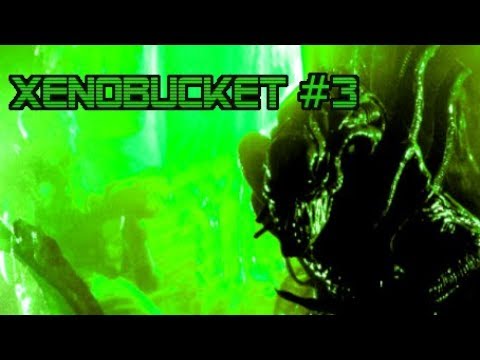 XENOBUCKET #3
