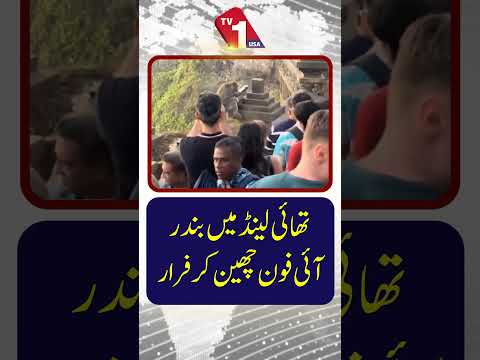 تھائی لینڈ میں بندر آئی فون چرا کر بھاگ گیا۔