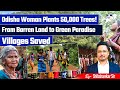 Odisha Woman Transforms Barren Land Into Green Paradise 50 000 Trees Planted Villages Saved