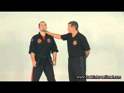 Kyusho Jitsu. Kyusho Top 10 points