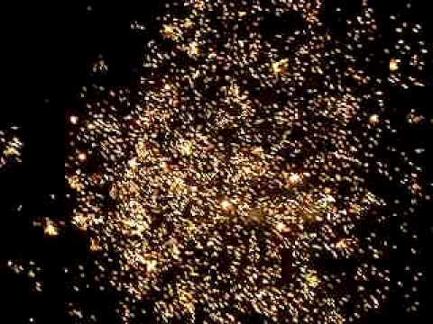 TB61 Eden Gardens - Tropic