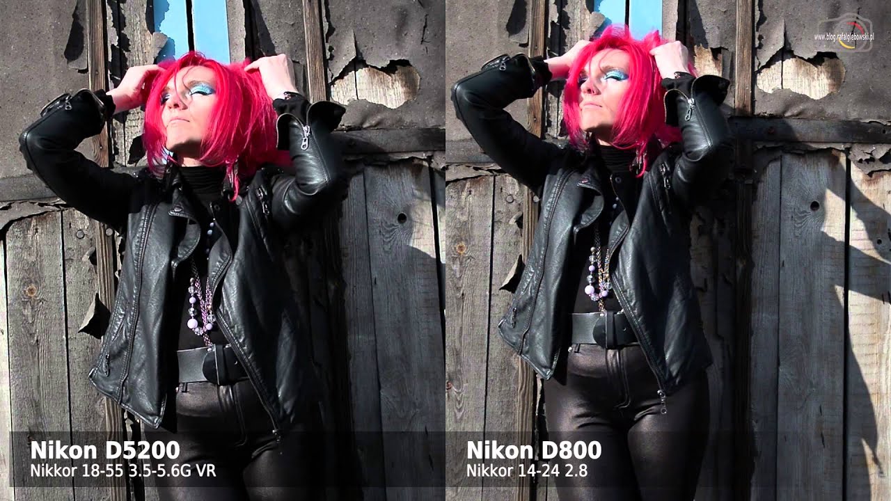 D5200 vs D800
