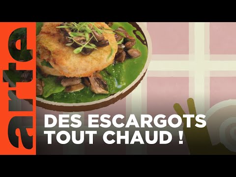 Bourgogne : les escargots | Voyage en cuisine | ARTE Family