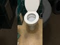Girl Pranks Her Brother By Putting Dried Pasta Under The Toilet Seat
