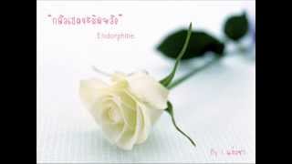 กลัวเธอจะผิดหวัง – Endorphine (เอ็นโดรฟิน)