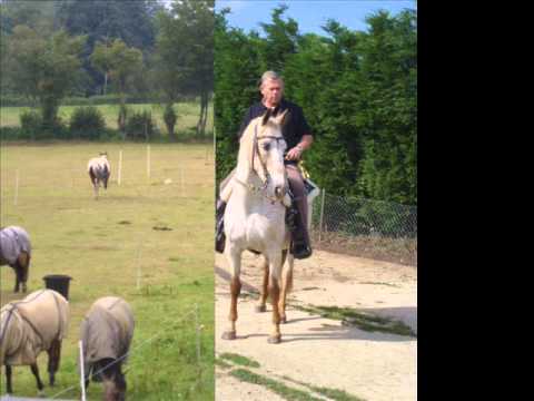 trailer nieuwe profiel youtube.wmv